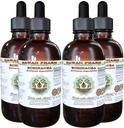 Echinacea 无酒精液体提取, Echinacea (Echinacea Angustifolia) 干根甘草(Glycerite) 夏威夷药草天然草药补充剂 4x4 oz