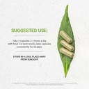 120个Capsules,用蔬菜Capsules和Thymus Vulgaris Toni效应制作(120个Capsules)