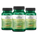 Swanson Lactobacillus Gasseri 为成年人寻求消化和代谢支助,配有3亿CFU-酸-阻力,无冷冻(60 Vegan Capsules, 3 Pack)