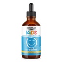 BIORAY儿童 NDF 平静, 香草 - 4 fl oz - Nourish The Liver & Relieve Sincits - 非GMO, Vegan, Gluten Free - 2-4个月供应