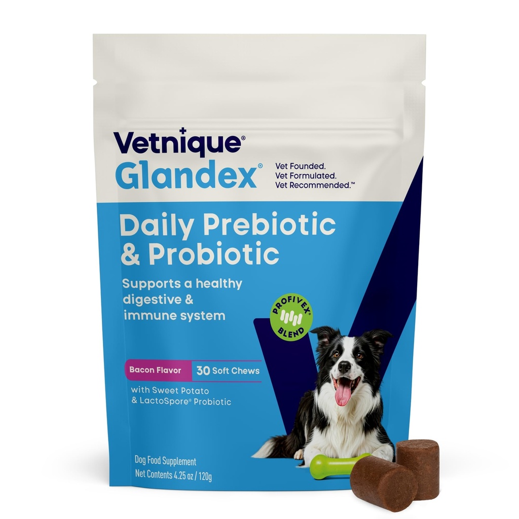 Vetnique Glandex Daily Probiotics for Dogs with Prebiotics 支持古特健康与纤维和消化酶,Probiotic Chews或粉末(30ct Chews, Bacon Chews)