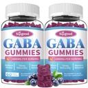 2 Pack GABA Gummys for Adults, Relaxation, Zzz & Mood – 配有L-Theanine, 5-HTP, Vitamin D3 – Natural Zzz Supports, GABA Supplements for Kids, 120 Counter 页面存档备份,存于互联网档案馆 互联网档案馆的存檔,存档日期2011-07-02.