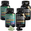 宝海. Shilajit and Sea Moss Bundle - 90 Counter - Sea Moss, 黑种子油, Ashwagandha, Ginger & Shilajit, Rhodiola Rosea, All in 1 补编(2 Pc)
