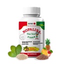 Nopalina Fiber公式 120 Capsules | Flax种子, P, Oat 和小麦布兰, Omega 3, 6 & 9 | Gut Health & Normality | 原文