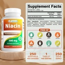 最佳自然品 Niacin 500 mg 250 石板 与 Flushing - 也称为维生素B3(250 count (Pack of 2))