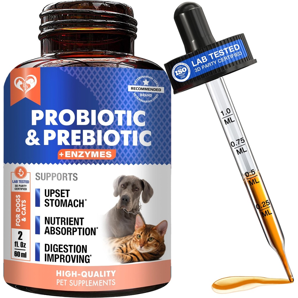 配有狗和猫的酶的抗生素和预生素 - 消化素 Gut Flora 健康宠物食品补充剂 - 便秘和痢疾及毒气家用补救措施 - Upset Stomach Relief - 在美国制造