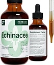 Echinacea 4 fl oz 液体提取 - 有机根,叶,花,种子 - 天然草药补充剂 - 身体,免疫系统支持叮当 - 高潜滴 - 90天供应 - 家庭大小