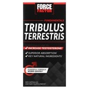 Tribulus Terrestris for Men, Testosterone 助推器和男性生命力补编,Tribulus提取器和高级吸收的自然成分,基本系列,1000mg, 60 Capsules