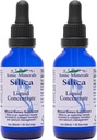 Eidon Liquid Silica 矿物集中 -- -- 毛发、皮肤和钉子的Silica 补充剂,Silica 滴水支持钴生产,无添加糖 -- -- 2 oz,2 Pack