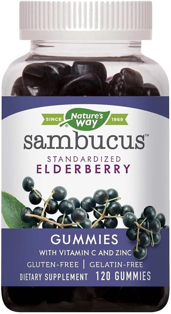 自然之路 Sambucus 长老莓加维生素C和锌,120古米