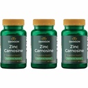 Swanson Zinc Carnosine (PepZin GI) - 促进胃健康与消化支持的自然补充 - 支持胃部的微平衡 - (60 Capsules) (3 Pack)