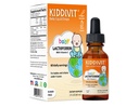 Kiddivit Baby Lactoferrin Liquid Drops – Gentle Immune 支持补编 – 100mg 配有预生胰岛素的公式 – 60 Daily Services – 糖无糖,Gluten free, Vegetarian, 2oz