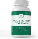 纯原始成份 Houttuynia Cordata, (100 Capsules) 永远纯, 无添加剂或填充器, 实验室验证
