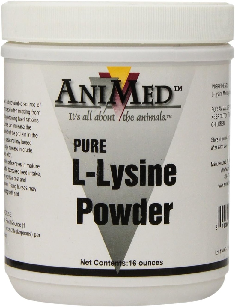 AniMed L-Lysine为马,16 -Ounce
