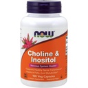 Now Choline and Inositol 500mg, 100 Capsules (Pack of 2) (英语).