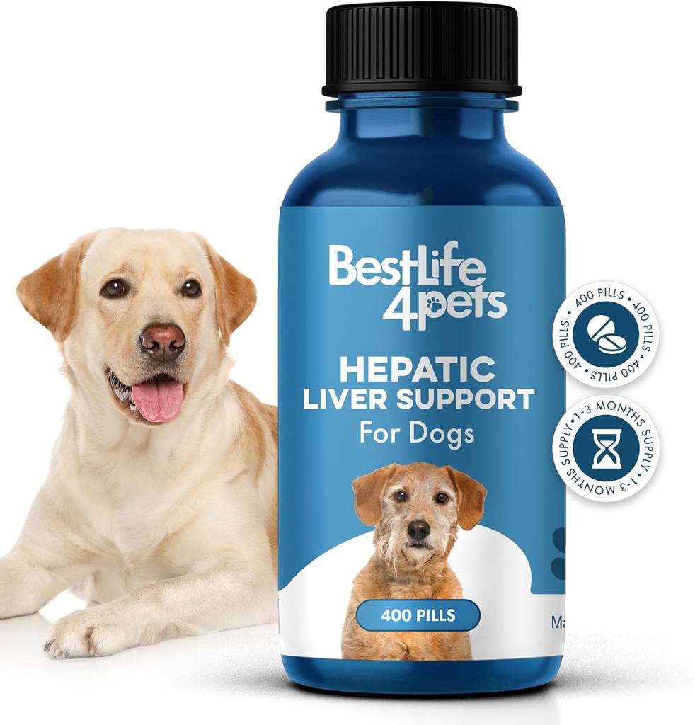 肝肝肝支持犬,可溶解的Homopathic 消化犬补充肝脏除毒和营养吸附,100%全天然,易赠,无化学品或添加剂,400药丸