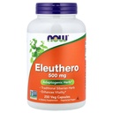 Eleuthero 500mg 现在食品250章