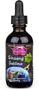 Dragon Shebs Ginseng sublime Drops – 支持能量,压力,焦点,皮肤,耐力,肺部,Immune Health – 美式,红式,白式 Ginseng → 2 f.
