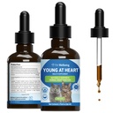 Petwelling Young at Heart for Cats - Vet-Formulated - 心脏健康,循环和心血管系统,霍桑,Motherwort, Schisandra - 草药补充2 oz (59毫升)
