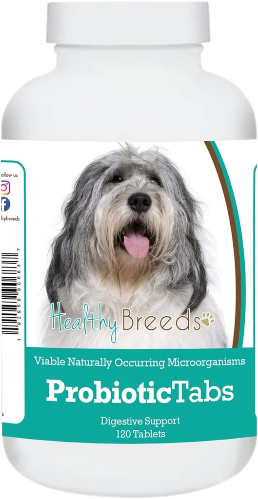 健康育苗 波兰低地牧羊犬