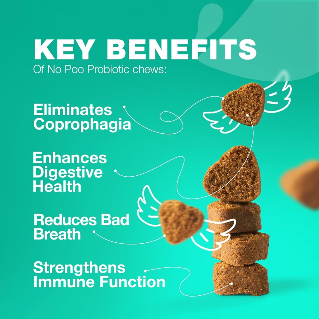 无 Poo Chewables for Dogs - Ezymes, dog Probiology for Digestive Health - Canine Digestive, Gut & Immune Health Supplements (英语) "狗的厨艺"(无 Poo Chewables for Dogs - Ezymes, Dog Probiotics for Digestive Heal - Canine Digestive, Gut & Immune Health Supplex) "狗的厨艺"(英语:无 狗的厨艺) "狗的厨艺"(英语:无 狗的厨艺) "狗"(英语:无 ) "狗的厨艺"(英语:无 ) "狗的食"(英语:"(英语:没有) "狗的食"(英语:没有) "狗的食"(英语) "狗"(英语:没有) "狗的食"(英语:") "狗"(英语) "狗的"(英语) "狗的"(英语)"(英语) "