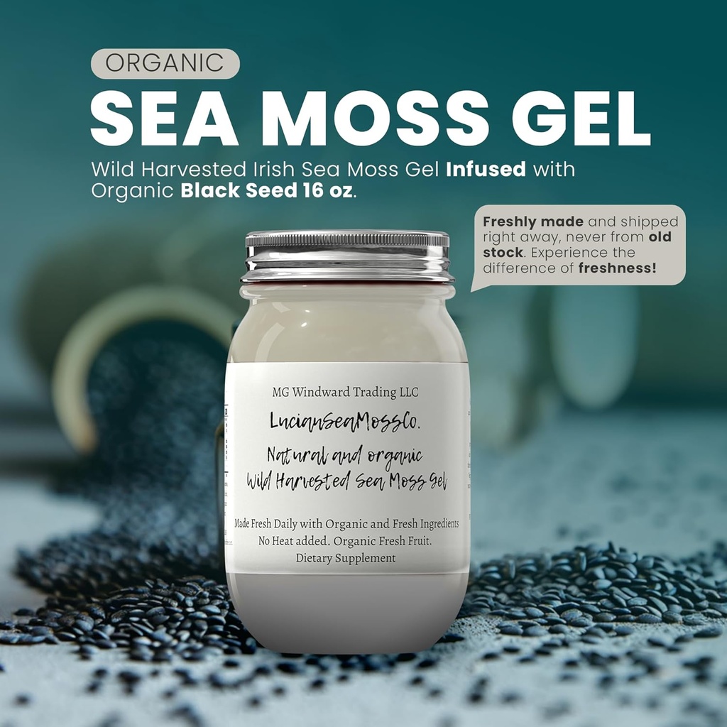Ashwagandha Mangodha Mango Sea Moss Gel 有机新鲜水果 注入野生收获的爱尔兰海 Moss Gel | Immune 和消化支持 | Vitamin Mineral 抗氧化剂补充剂 | (16 oz. Ashwagandha Mango)