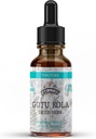 Gotu Kola Tincture, 有机Gotu Kola提取器, Gotu Kola Drops (Centella Asitica) 干草