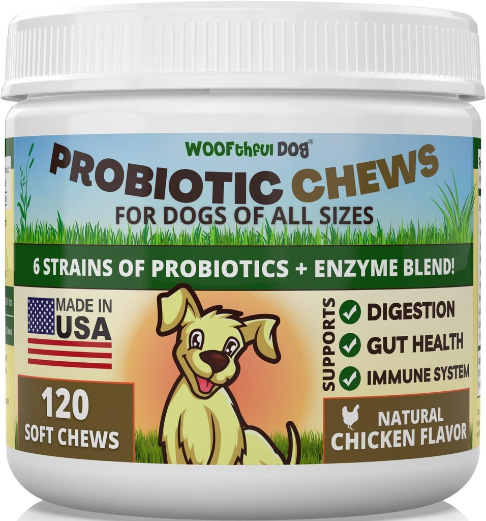 狗的抗生素 - 消化健康,Gut Flora,Bowel支持,Immune系统支持 - Soft Chews Supplement for Dogs 120 ct,美国制造
