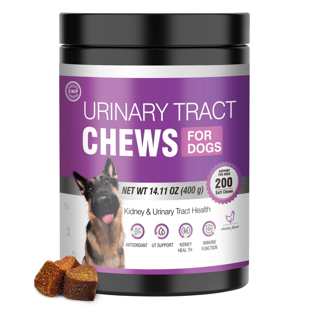 狗 UTI 治疗 Cranberry 补充 狗 200 Chews 尿道切除药 Bladder 控制药 肾脏 支持 Cranberrys 提取 Bites Pupby UTI 感染治疗 狗失禁治疗