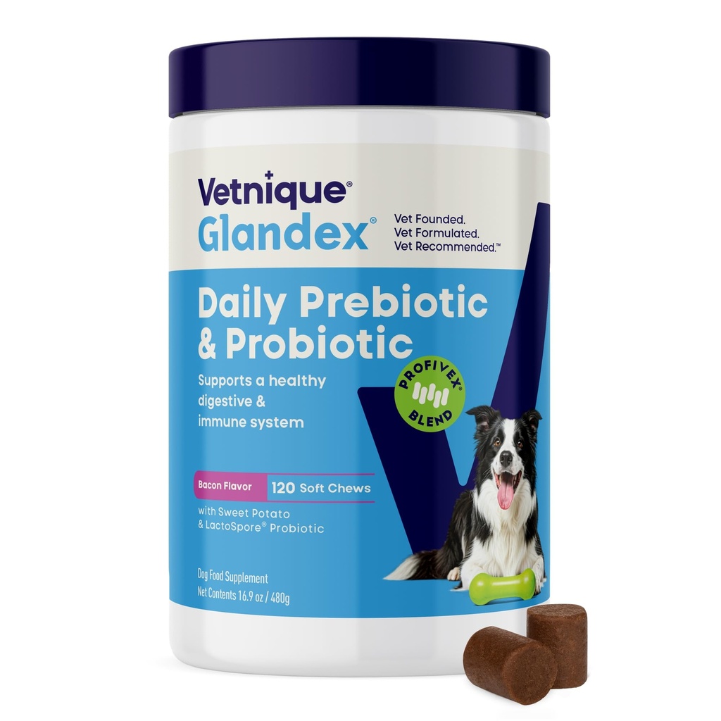 Vetnique Glandex Daily Probiotics for Dogs with Prebiotics 以纤维和消化酶,Probiotic Chews 或 Powders (120ct Chews, Bacon Chews) 支持古特健康(英语:Gut Health) 配药(英语:Probiotic Chews) 配药(英语:Probiotic Chews) 配药(英语:Probiotic Chews) 配药(英语:Probiotic Chews) 配药(英语:Probiotic) 配药(英语:Probiotical) 配药(英语:Probiotical)