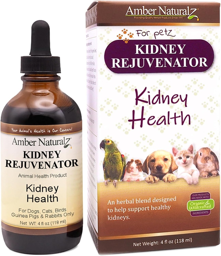 Amber NaturalZ Kidney 肾脏复方药 对狗、猫、鸟、兔子和几内亚猪的草药补充剂 |支持正常的肾功能 | 肾健康天然援助