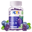 Pets Purest Glucosamine Chondroitin Gummys配有MSM和长老莓外加力——联合支持,成人、男女抗氧化剂免疫辅助剂。 60