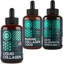 WILD FUEL 液态凝胶、海洋凝胶和液态氯素美与健康包