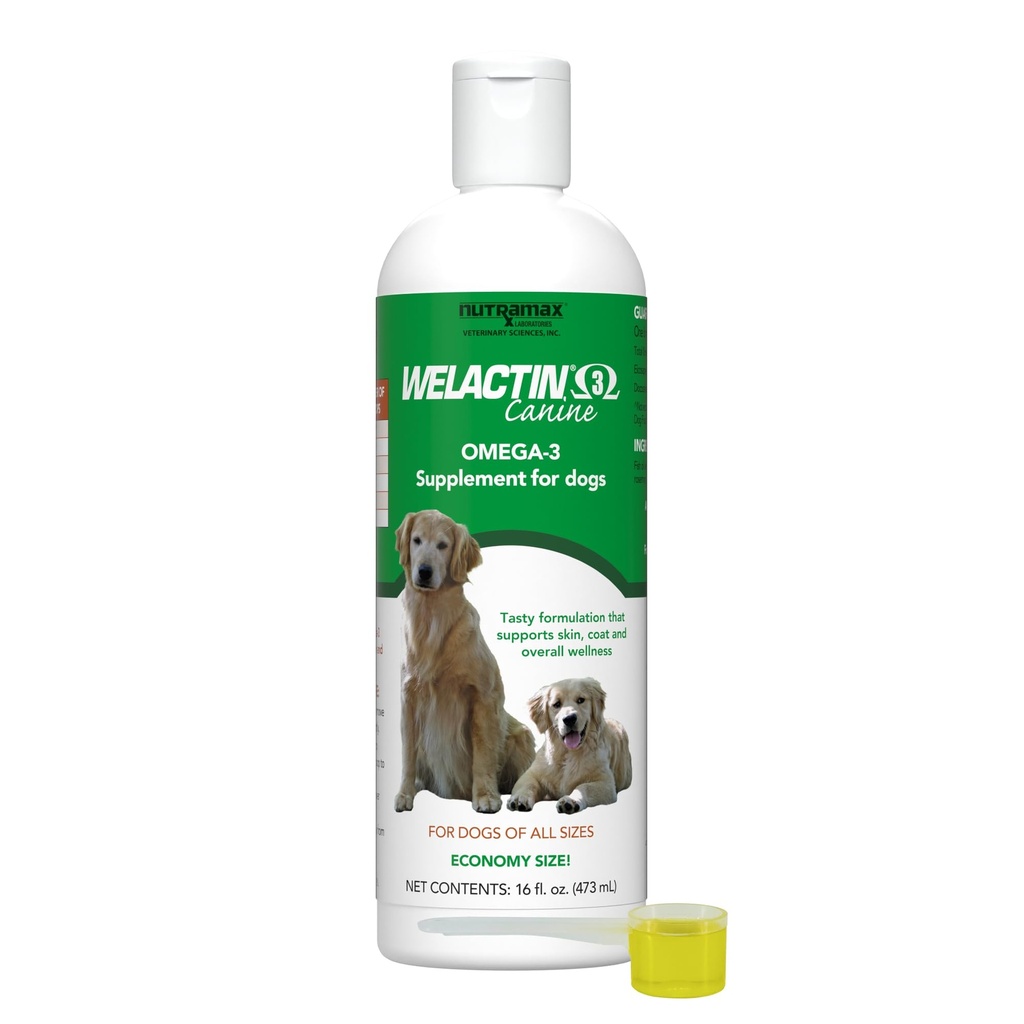 Nutramax Welactin Omega 3 鱼油换狗,皮肤和煤健康补充品,加联合,免疫,肾,和大脑支持,Premium Omega 3 脂肪酸,各种尺寸的狗,16 Ounce液体(3Pk)