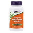 现在 Nettle 根提取 250 mg, 90 Veg capsules