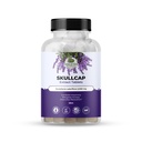 奇异植物学 Skullcap 10X 提取片 2,000 mg - 高概率草药补充剂 放松与健康 - 30 片