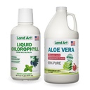 土地艺术 Aloe Vera Juice - 石榴花粉 - 冷加工 - 有机新鲜叶的内卷片 - 64floz + 液态氯phy薄荷 氟化 - 从野生非GMO Alfalfa提取的冷 - 16floz