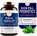 WINDSOR BOTANICALS 男性生育率补充和牙科抗生素 健康与健康包