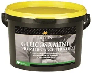 Lincoln Glucosamine Premium 焦距马补充剂-600g(关节和软骨的最佳健康)