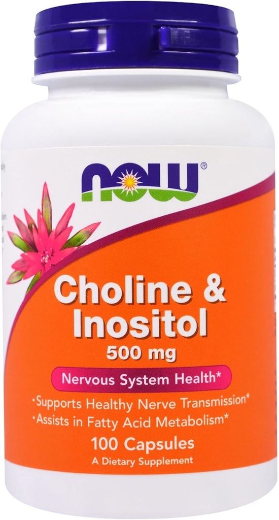 现在食品,(3包) Choline & Inositol, 500 mg, 100 capsules