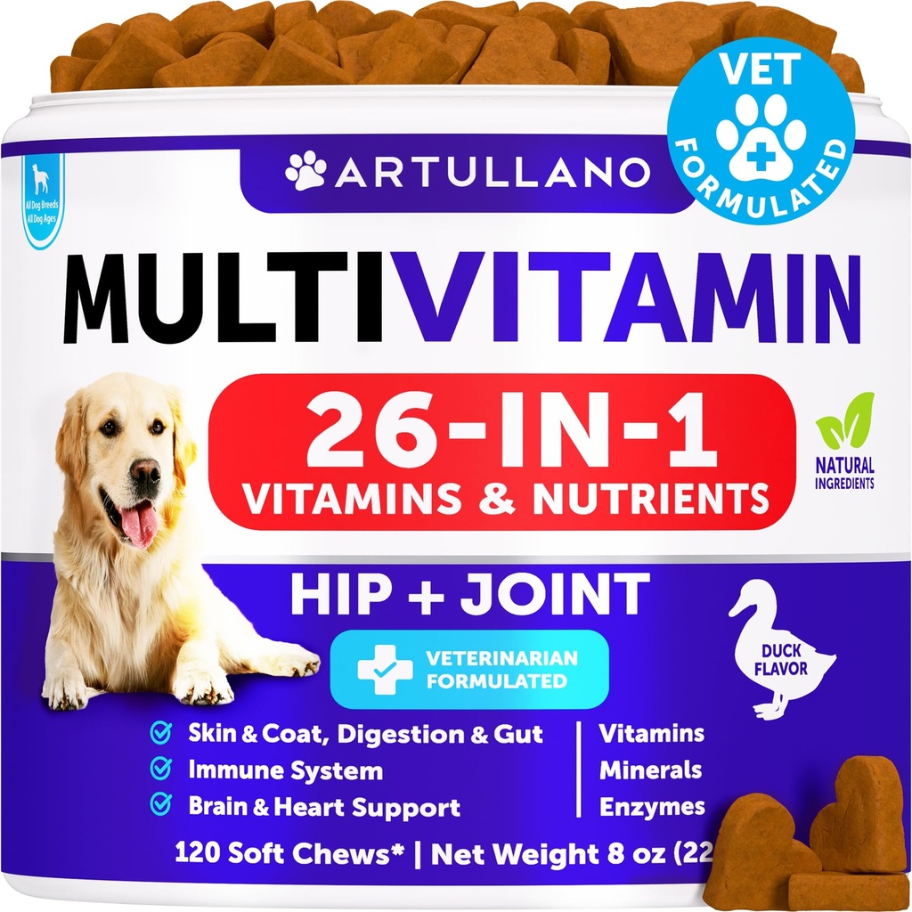 狗多维特敏可与Glucosamine 26 成 1 - 狗维生素和补充剂 - 狗的高级和小狗多维特敏 - 宠物联合支持健康 - 豁免,流动,古特皮 - 120 Chews