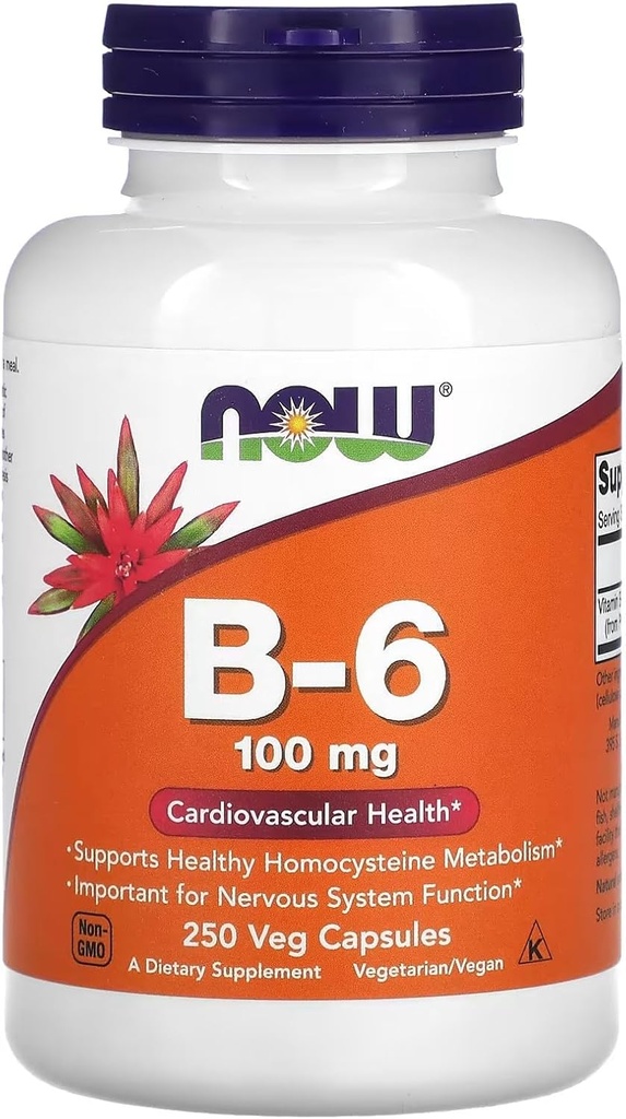 现在食品维生素B-6 250卡普尔/100毫克