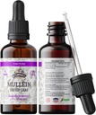 Mullein Tincture 提取剂,有机Mulein(Verbascum densiflorum) 干叶草药补充剂,用冷面蔬菜甘油670毫克