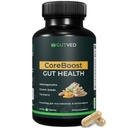 Gut Health 与 Ashwagandha、Carom种子、Turmeric -- -- 妇女和男子的先生药和亲生药 -- -- 2亿CFU-Best 用于消化保健、减肥、减气