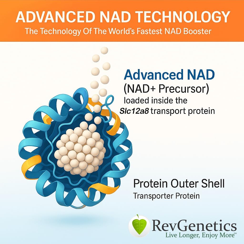 REVGENETICS 高级NAD+ 补编, 60 Capsules - 健康老化和长寿膳食补编