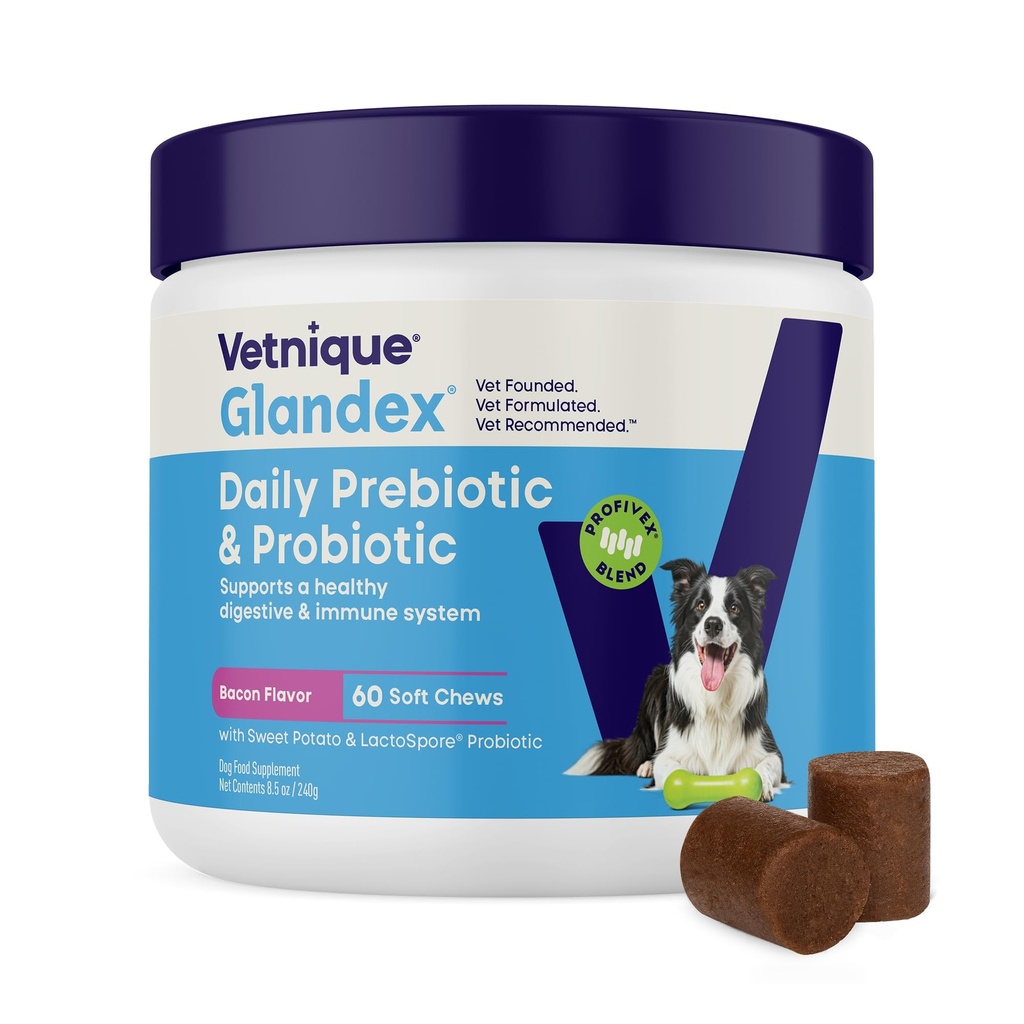 Vetnique Glandex Daily Probiotics for Dogs with Prebiotics (60ct Chews, Bacon Chews)) 以纤维和消化酶支持古特健康,亲生菜或粉末(60ct Chews, Bacon Chews)
