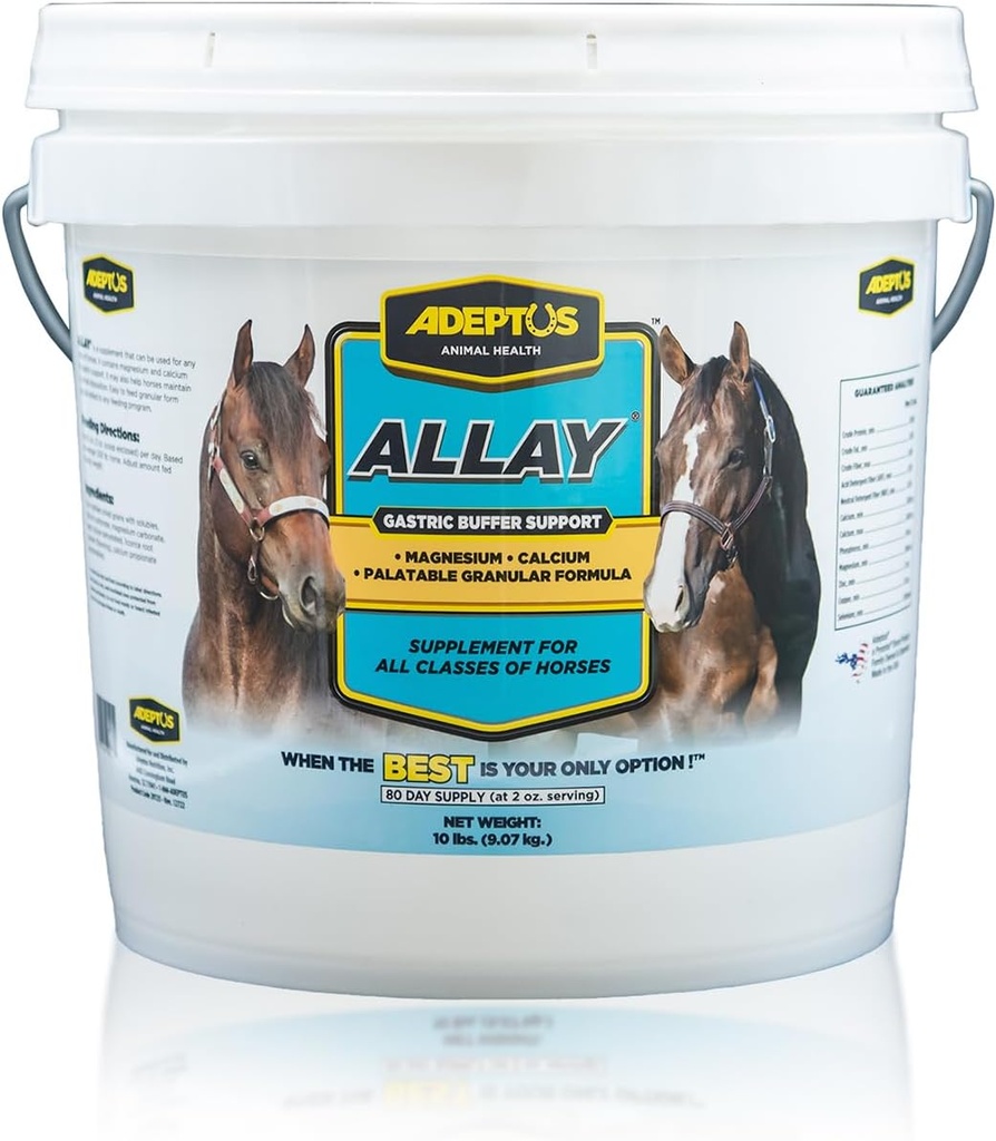 Adeptus 营养 Allay Equine 补充品, 消化缓冲器 w/钙 & 镁, 冷却 Granular 公式 w/ Licorice, 预生基, 东方文化, 支持所有马类, 10 磅