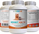 狗尿失禁 - 狗尿失禁健康公式 - 帮助解决失禁和斑点问题 - Immune Boost - 玉米丝绸帽用于狗 - 1瓶(90份治疗)