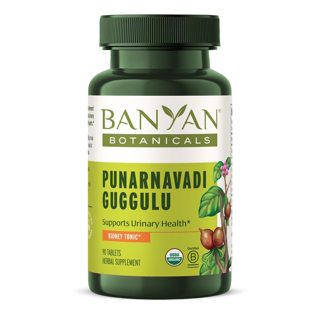 Banyan植物科植物科植物科植物科植物科植物科植物科植物科植物科植物科植物科植物科植物科植物科植物科植物科植物科植物科植物科植物科植物科植物科植物科植物科植物科植物科植物科植物科植物科植物科植物科植物科植物科植物科植物科植物科植物科植物科植物科植物科植物科植物科植物科植物科植物科植物科植物科植物科植物科植物科植物科植物科植物科植物科植物科植物科植物科植物科植物科植物科植物科植物科植物科植物科植物科植物科植物科植物科植物科植物科植物科植物科植物科植物科植物科植物表 科植物科植物科植物科植物科植物科植物科属表 科植物科植物科植物科植物科植物科植物科植物科植物科属表 科植物科植物科植物科植物科植物科植物科植物科属表 科植物科植物科植物科植物科植物科属表 科植物科 科植物科植物科 科植物科植物科植物科植物科植物科植物科植物科植物科植物科植物科属