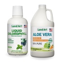 土地艺术 Aloe Vera 饮用 Gel - 橙色坦格林裂片 - 冷处理 - 有机新鲜叶片 - 64floz + 液态氯叶薄荷裂片 - 从野生非GMO Alfalfa提取的冷 - 16floz